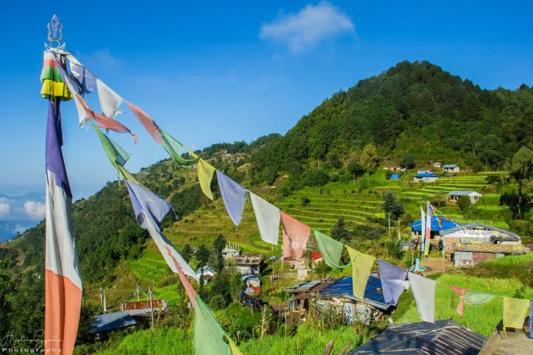 Ghyangphedi