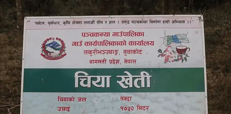 Gyangswara Park